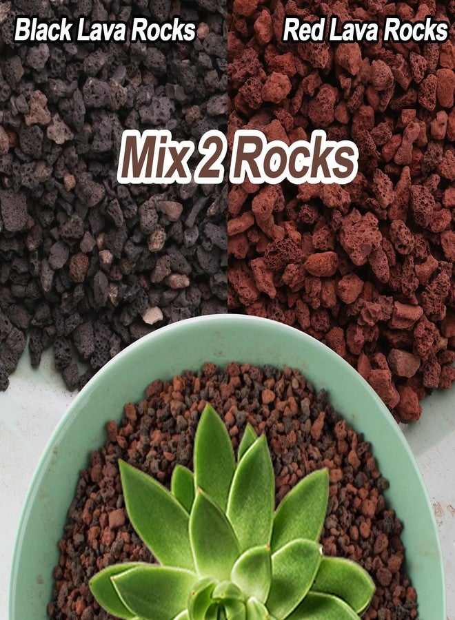CJGQ 3lb Lava Rocks for Plants - Horticultural Volcanic Gravel for Drainage in Succulents, Bonsai, Terrariums and Landscaping - Image 2